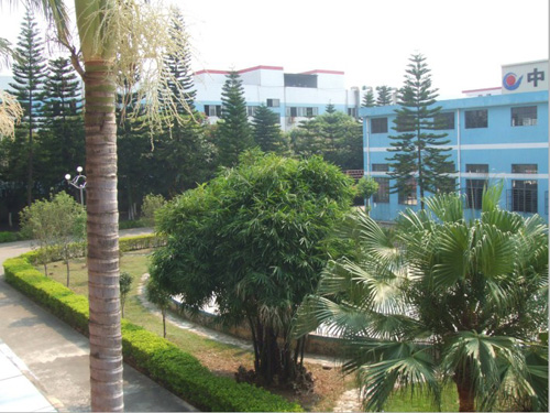 公司內部環(huán)境綠化